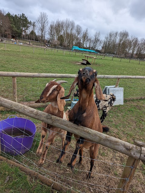 Fairfield Animal Centre