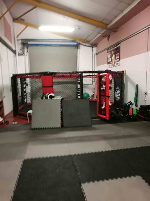 THE MAT ACADEMY WALES - MMA ,BJJ, MUAY THAI and WRESTLING