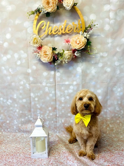 Chesters dog grooming