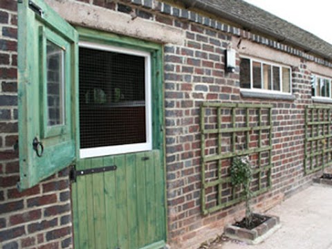 Little Hay Cattery