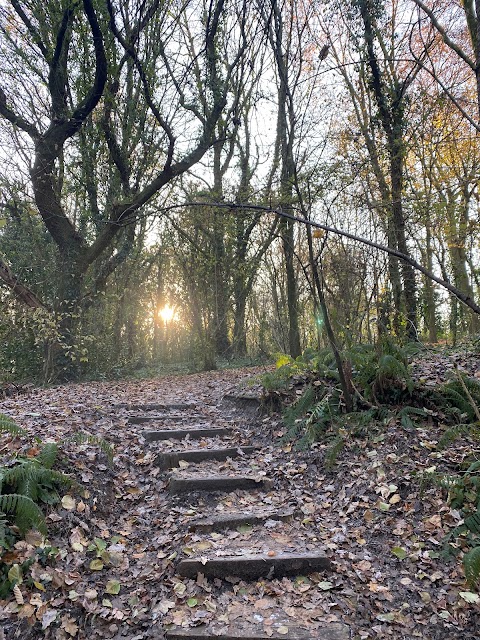 Howardian Local Nature Reserve