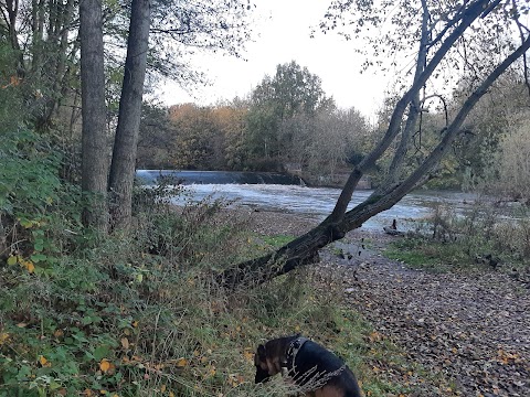 Kirkstall Valley Nature Reserve