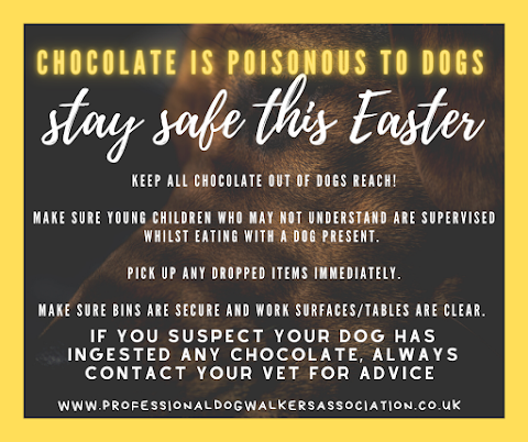 Professional Dog Walkers Association