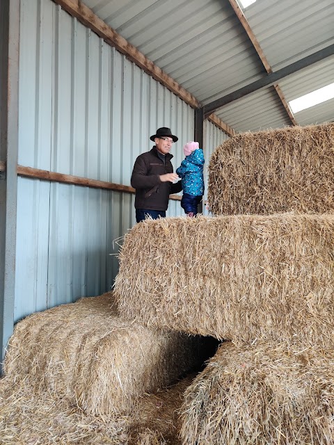 Stonehurst Family Farm and Motor Museum