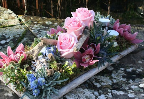 Driftwood and Daisies Florist