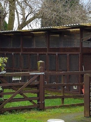 Beseeka Boarding Kennels