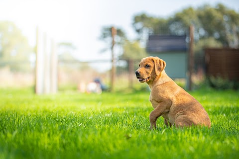 We Love Pets East Kilbride