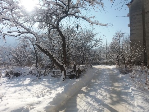 ІФНМУ "Арніка"