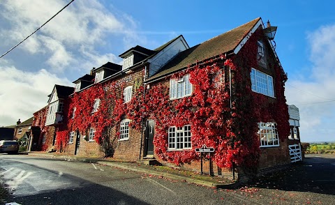 Dog & Hedgehog Inn