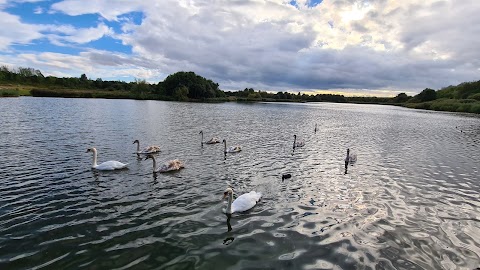 Parc Tredelerch