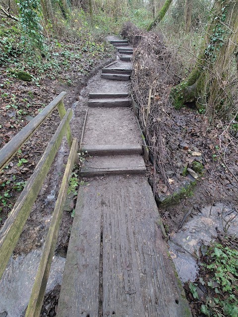 Silver Street Local Nature Reserve