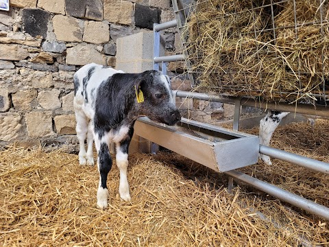 Hesketh Farm Park