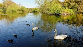 Allestree Park Lake