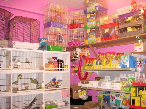 The Pet Pantry