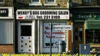 AA Wendys dog and cat Grooming Salon