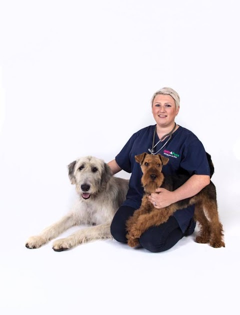 Vets4Pets - Newtownards