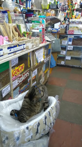 Ellis's Pet Store