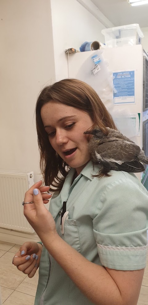 Best Friends Vet Group, Dagenham