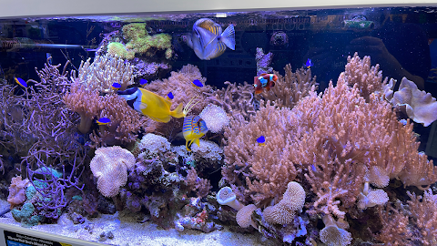 Oasis Aquarium Ltd