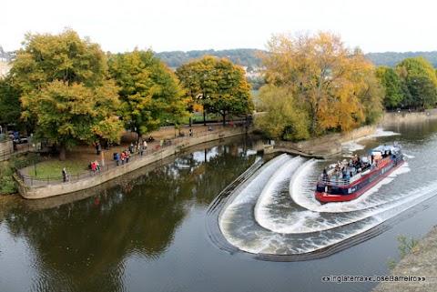 Pulteney Cruisers