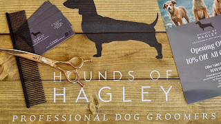 Hounds Of Hagley