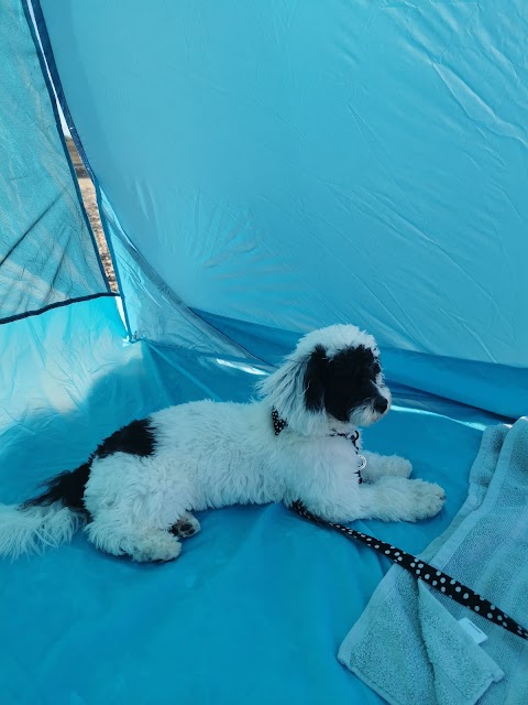 Doggy Style Grooming Salon