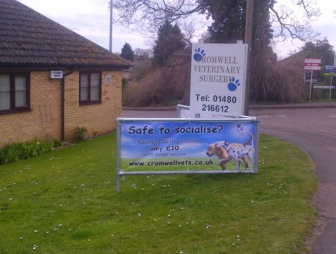 Cromwell Vets in St Neots