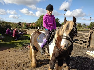 Coloured Cob Trekking Centre Ltd