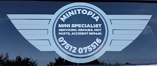 Minitopia Mini Specialist