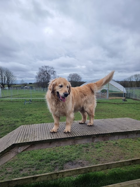 Clarks Hill Kennels & Cattery