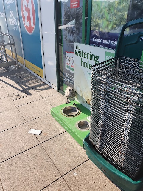 Pets at Home Portishead