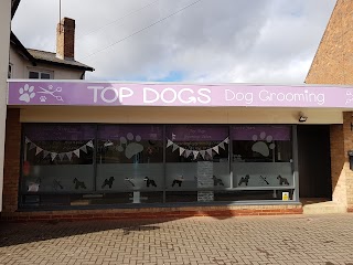 Top Dogs Dog Grooming Salon