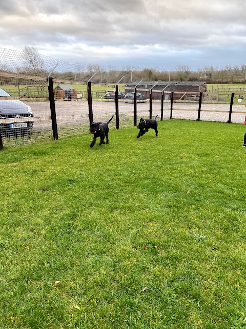 Spire Ridge Boarding Kennels & Cattery