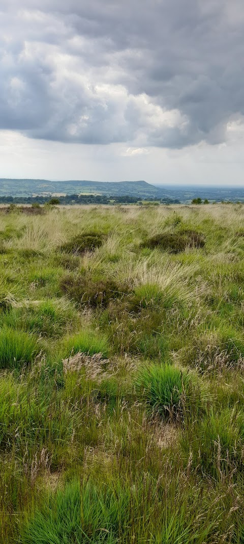 Rolling hills view