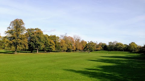 Al's Dog Walker in Solihull