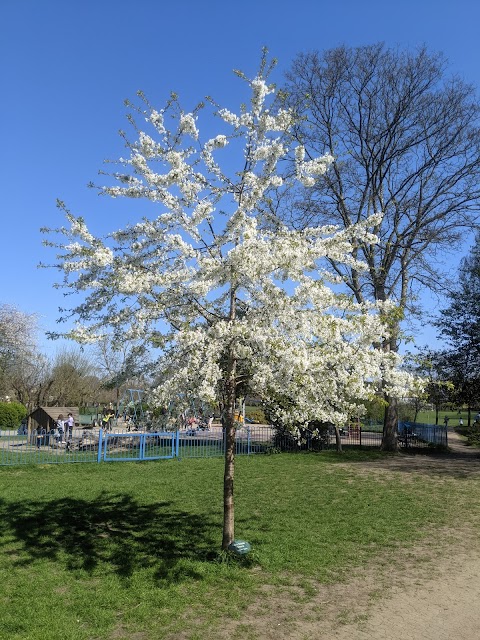 Lammas Park