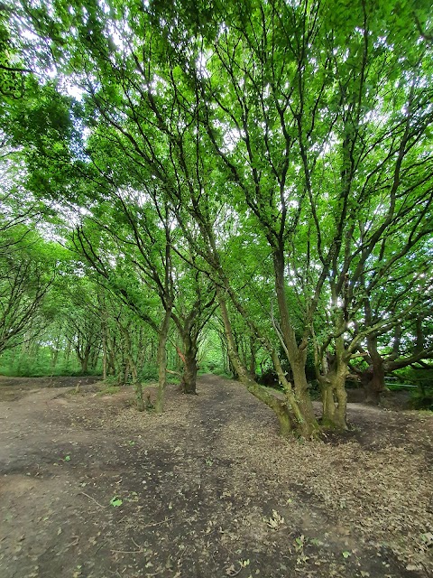 Peel Hall Farm