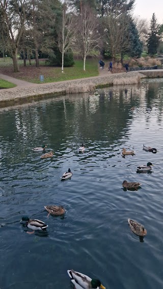 Harlow Town Park Water Garden