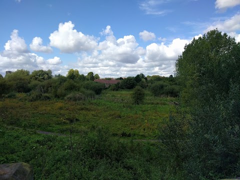 Toll's Meadow