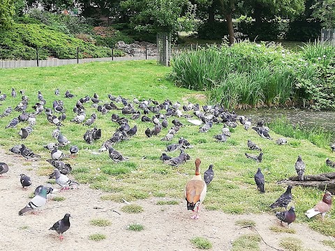 West Hill In The Park Childrens Centre