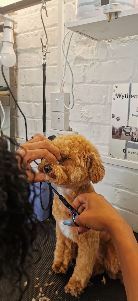 Wythenshawe dog grooming