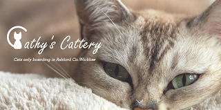 Cathy's Cattery