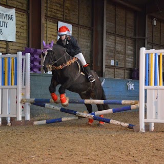 Ledston Equine Clinic