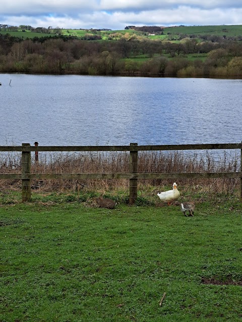 Tittesworth Water Car Park