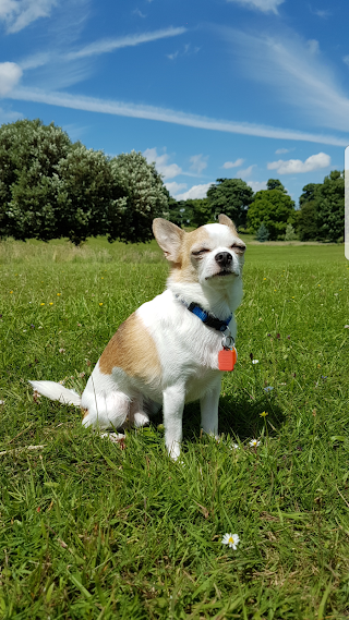 Carrick Veterinary Group - Barlborough