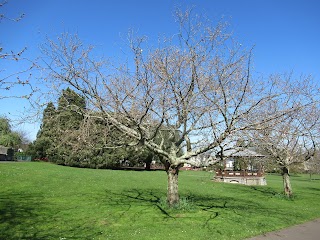 Courtenay Park