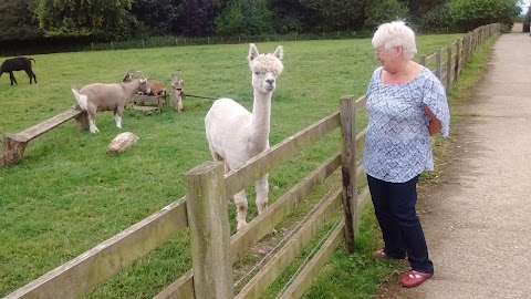 High Farm Holiday Park, Yorkshire