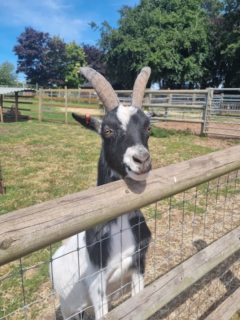 Floralands Farm Park