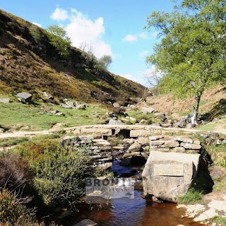 Bronte Waterfall