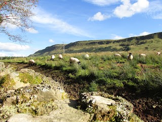 Garrique Cottage